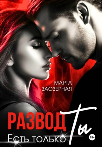Развод. Есть только Ты - Марта Заозерная Слушать аудио книги онлайн без регистрации полностью бесплатно - knigavkarmane.net