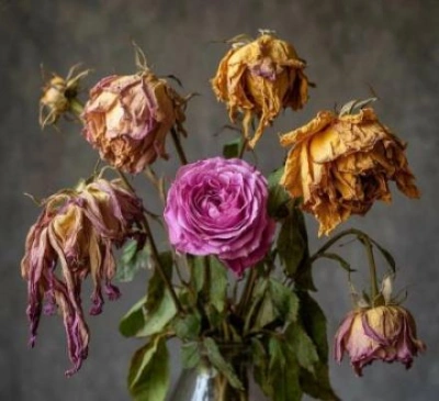 Их на могилу стыдно положить - Артур Алехин, Андрей Туркин Слушать аудио книги онлайн без регистрации полностью бесплатно - knigavkarmane.net