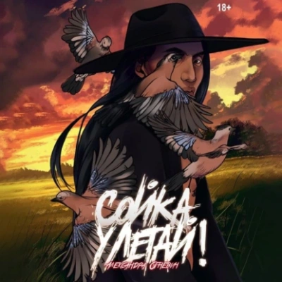 Сойка, улетай! - Александра Огневич Слушать аудио книги онлайн без регистрации полностью бесплатно - knigavkarmane.net