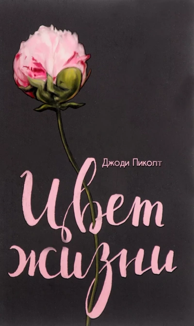 Цвет Жизни - Джоди Пиколт Слушать аудио книги онлайн без регистрации полностью бесплатно - knigavkarmane.net