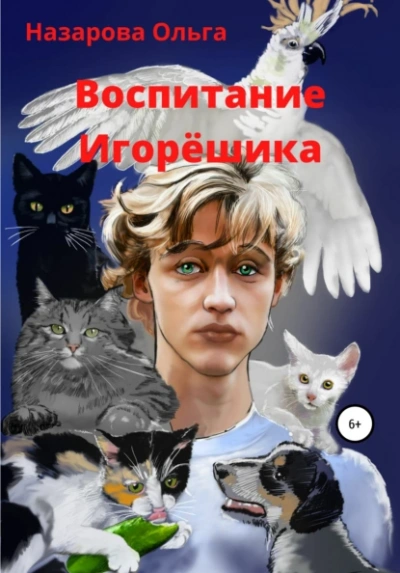 Воспитание Игорёшика - Ольга Назарова Слушать аудио книги онлайн без регистрации полностью бесплатно - knigavkarmane.net