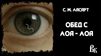 Обед с Лоа - Лоа - С.W. Ласарт Слушать аудио книги онлайн без регистрации полностью бесплатно - knigavkarmane.net