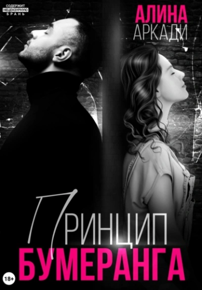 Принцип бумеранга - Алина Аркади Слушать аудио книги онлайн без регистрации полностью бесплатно - knigavkarmane.net