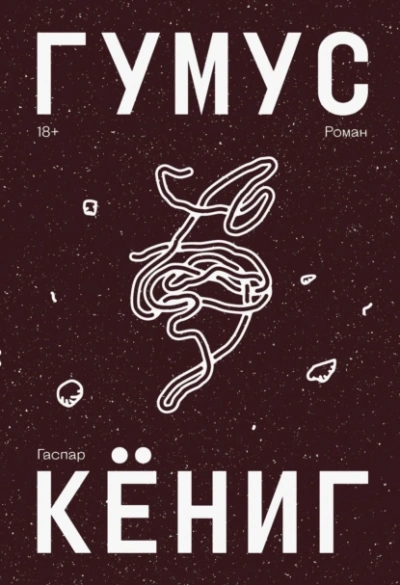 Гумус - Гаспар Кёниг Слушать аудио книги онлайн без регистрации полностью бесплатно - knigavkarmane.net