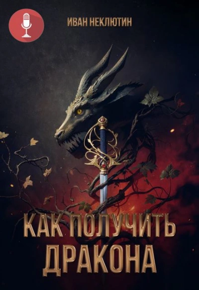 Как получить дракона - Иван Неклютин Слушать аудио книги онлайн без регистрации полностью бесплатно - knigavkarmane.net