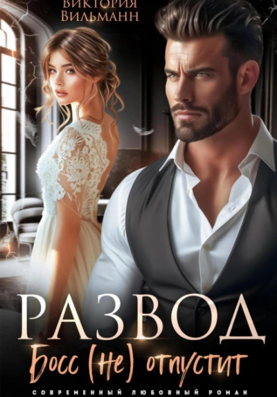 Развод. Босс (не) отпустит - Виктория Вильманн Слушать аудио книги онлайн без регистрации полностью бесплатно - knigavkarmane.net