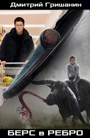 Берс в ребро - Макс Вальтер Слушать аудио книги онлайн без регистрации полностью бесплатно - knigavkarmane.net