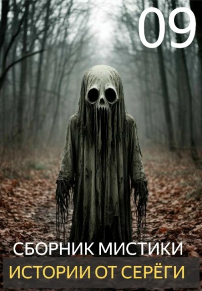 Истории от Серёги 9 Слушать аудио книги онлайн без регистрации полностью бесплатно - knigavkarmane.net