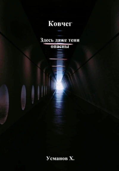 Ковчег. Здесь даже тени опасны - Хайдарали Усманов Слушать аудио книги онлайн без регистрации полностью бесплатно - knigavkarmane.net