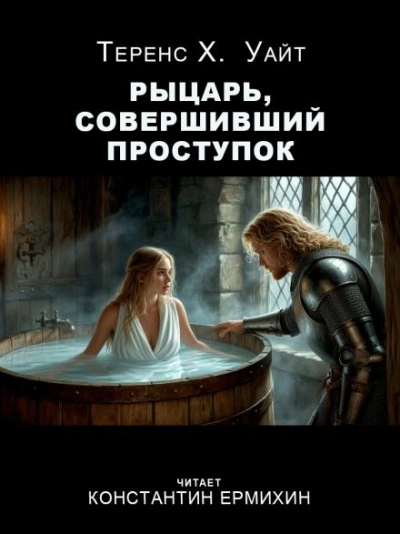 Рыцарь, совершивший проступок - Теренс Хэнбери Уайт Слушать аудио книги онлайн без регистрации полностью бесплатно - knigavkarmane.net