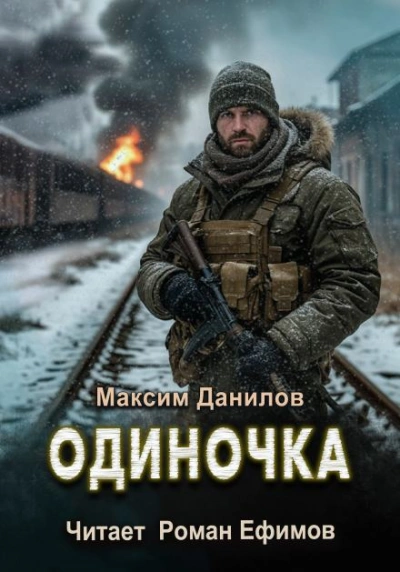 Одиночка - Максим Данилов Слушать аудио книги онлайн без регистрации полностью бесплатно - knigavkarmane.net