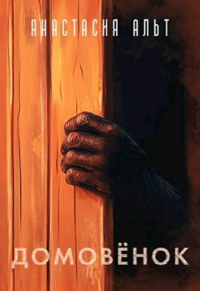 Домовёнок - Анастасия Альт Слушать аудио книги онлайн без регистрации полностью бесплатно - knigavkarmane.net