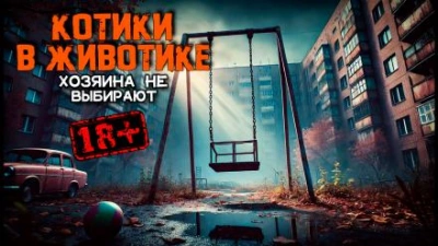 Котики в животике - Василий Завадский Слушать аудио книги онлайн без регистрации полностью бесплатно - knigavkarmane.net