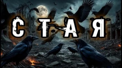 Стая - Валентина Сенчукова Слушать аудио книги онлайн без регистрации полностью бесплатно - knigavkarmane.net