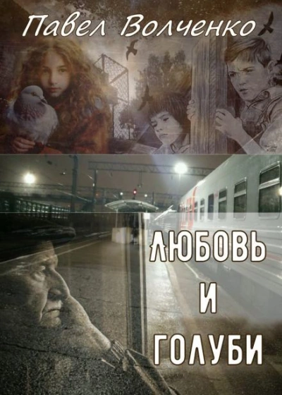 Любовь и голуби - Павел Волченко Слушать аудио книги онлайн без регистрации полностью бесплатно - knigavkarmane.net