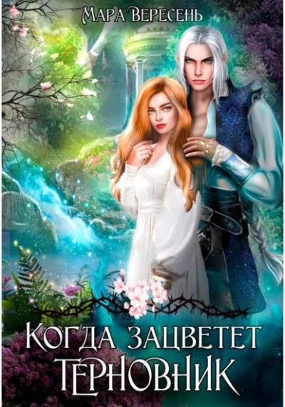 Когда зацветет терновник - Мара Вересень Слушать аудио книги онлайн без регистрации полностью бесплатно - knigavkarmane.net