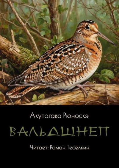 Вальдшнеп - Рюноскэ Акутагава Слушать аудио книги онлайн без регистрации полностью бесплатно - knigavkarmane.net