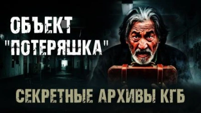Объект "Потеряшка" Слушать аудио книги онлайн без регистрации полностью бесплатно - knigavkarmane.net