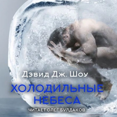 Холодильные небеса - Дэвид Дж. Шоу Слушать аудио книги онлайн без регистрации полностью бесплатно - knigavkarmane.net