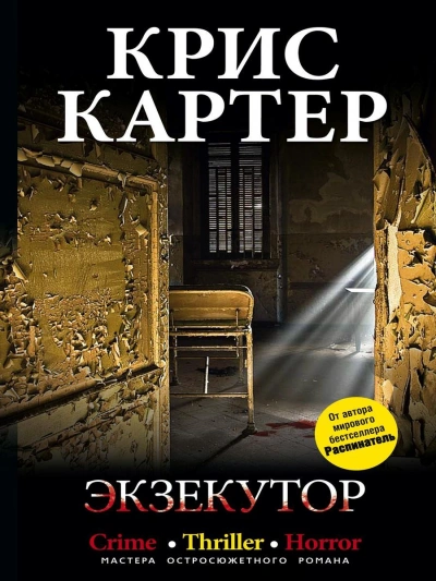 Экзекутор - Крис Картер Слушать аудио книги онлайн без регистрации полностью бесплатно - knigavkarmane.net