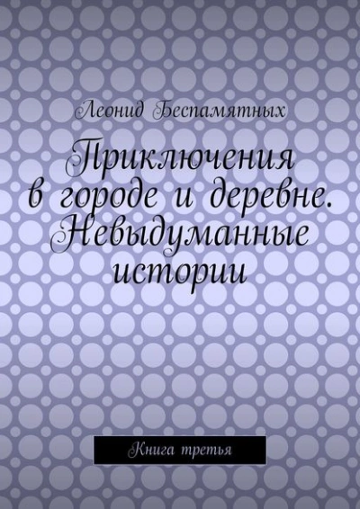 Приключения в городе и деревне. Невыдуманные истории - Леонид Беспамятных Слушать аудио книги онлайн без регистрации полностью бесплатно - knigavkarmane.net