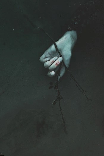 Пустоцвет (Сборник) - Игорь Шанин Слушать аудио книги онлайн без регистрации полностью бесплатно - knigavkarmane.net