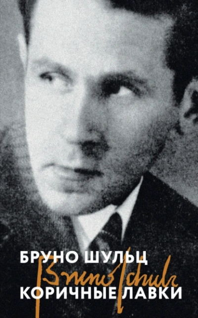 Коричные лавки - Бруно Шульц Слушать аудио книги онлайн без регистрации полностью бесплатно - knigavkarmane.net