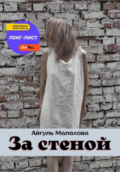 За стеной - Айгуль Малахова Слушать аудио книги онлайн без регистрации полностью бесплатно - knigavkarmane.net