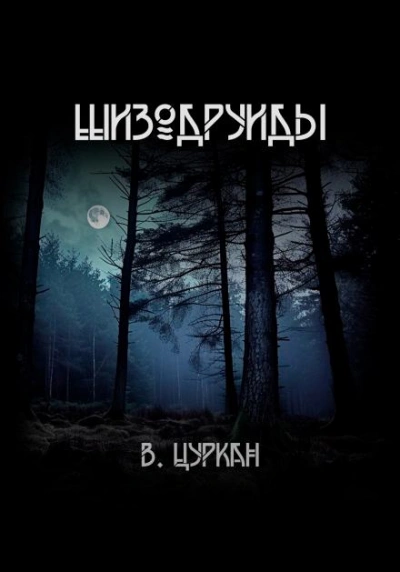 Шизодруиды - Валерий Цуркан Слушать аудио книги онлайн без регистрации полностью бесплатно - knigavkarmane.net