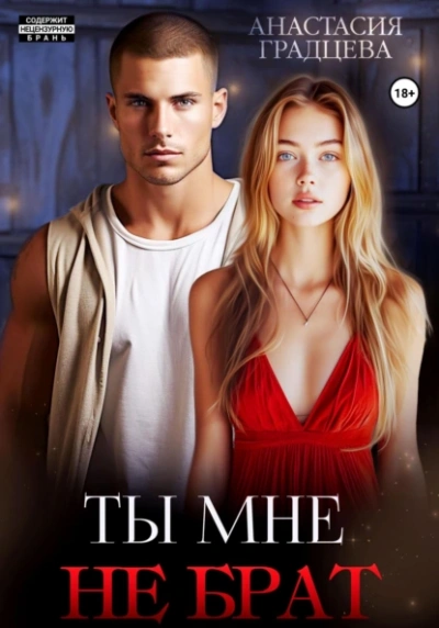 Ты мне не брат - Анастасия Градцева Слушать аудио книги онлайн без регистрации полностью бесплатно - knigavkarmane.net