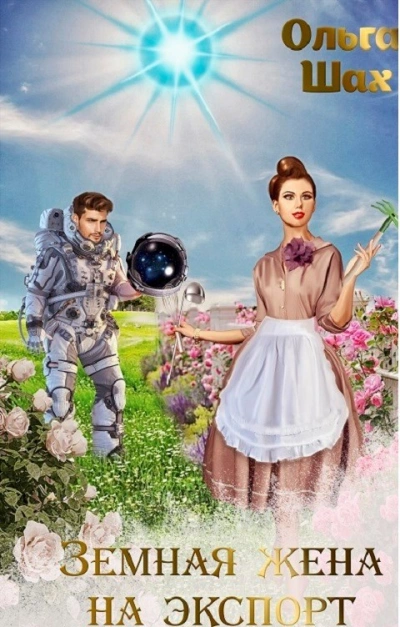 Земная жена на экспорт - Ольга Шах Слушать аудио книги онлайн без регистрации полностью бесплатно - knigavkarmane.net