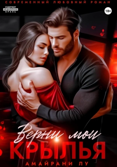 Верни мои крылья - Амайрани Лу Слушать аудио книги онлайн без регистрации полностью бесплатно - knigavkarmane.net