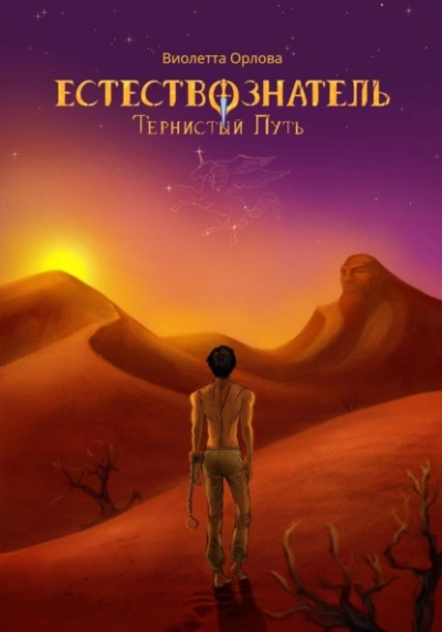Тернистый путь - Виолетта Орлова Слушать аудио книги онлайн без регистрации полностью бесплатно - knigavkarmane.net