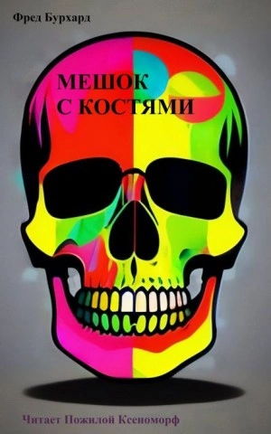 Мешок с костями - Фред Бурхард Слушать аудио книги онлайн без регистрации полностью бесплатно - knigavkarmane.net