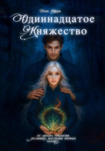 Одиннадцатое княжество - Соня Кирш Слушать аудио книги онлайн без регистрации полностью бесплатно - knigavkarmane.net