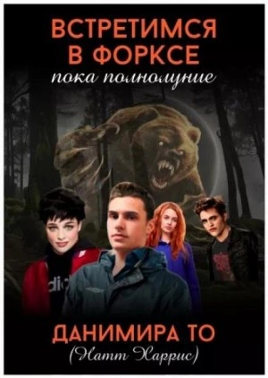 Встретимся в Форксе, пока полнолуние… - То (Натт Харрис) Данимира Слушать аудио книги онлайн без регистрации полностью бесплатно - knigavkarmane.net