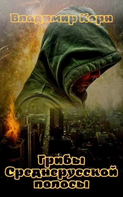 Грибы Среднерусской полосы - Владимир Корн Слушать аудио книги онлайн без регистрации полностью бесплатно - knigavkarmane.net