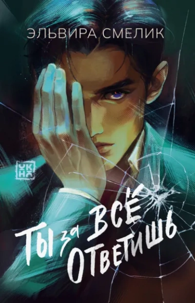 Ты за все ответишь - Эльвира Смелик Слушать аудио книги онлайн без регистрации полностью бесплатно - knigavkarmane.net