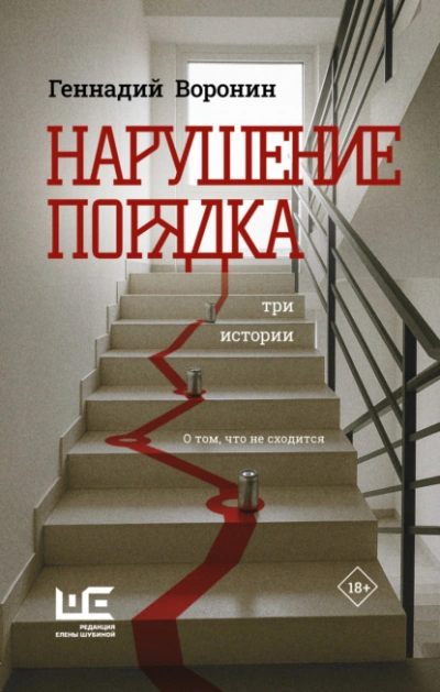 Нарушение порядка. Три истории - Геннадий Воронин Слушать аудио книги онлайн без регистрации полностью бесплатно - knigavkarmane.net