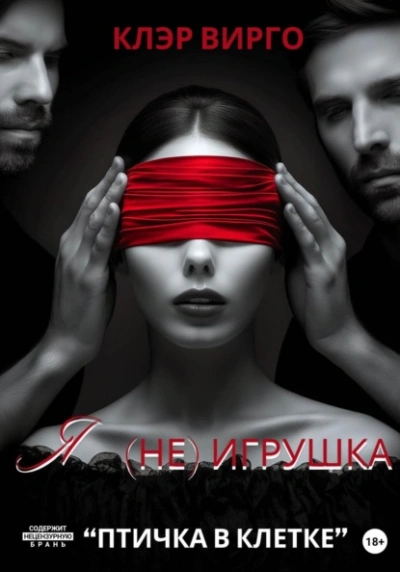 Я (не) игрушка - Клэр Вирго Слушать аудио книги онлайн без регистрации полностью бесплатно - knigavkarmane.net