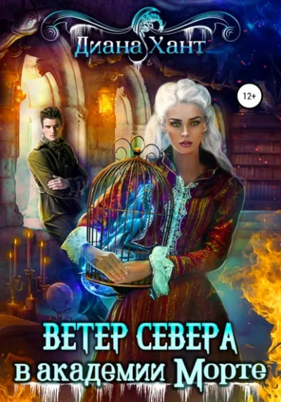 Научить любить тёмного. Ветер Севера в академии Морте - Диана Хант Слушать аудио книги онлайн без регистрации полностью бесплатно - knigavkarmane.net