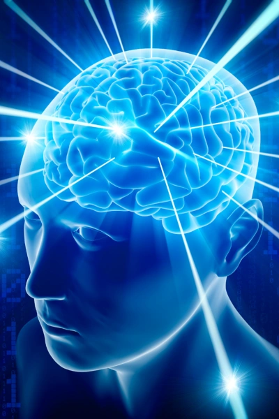 Лекция «Разум креативный и беспредельный. День второй: Мозг человека и ИИ: от натурального хозяйст - Александр Каплан Слушать аудио книги онлайн без регистрации полностью бесплатно - knigavkarmane.net