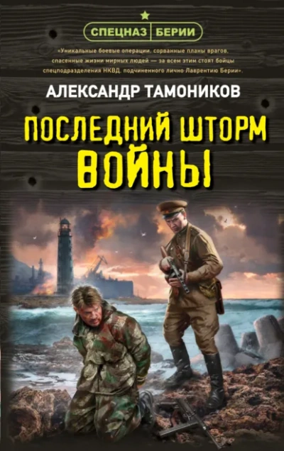 Последний шторм войны - Александр Тамоников Слушать аудио книги онлайн без регистрации полностью бесплатно - knigavkarmane.net