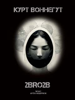 2BRO2B - Курт Воннегут Слушать аудио книги онлайн без регистрации полностью бесплатно - knigavkarmane.net