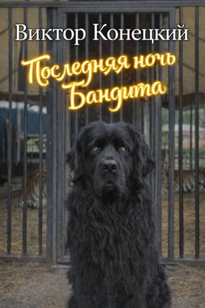 Последняя ночь Бандита - Виктор Конецкий Слушать аудио книги онлайн без регистрации полностью бесплатно - knigavkarmane.net