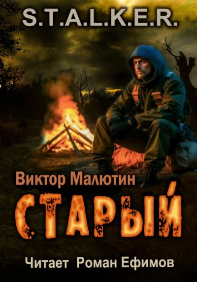 S.T.A.L.K.E.R. Старый - Виктор Малютин Слушать аудио книги онлайн без регистрации полностью бесплатно - knigavkarmane.net
