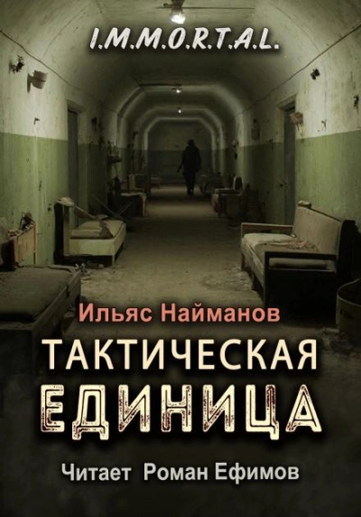Тактическая единица - Ильяс Найманов Слушать аудио книги онлайн без регистрации полностью бесплатно - knigavkarmane.net