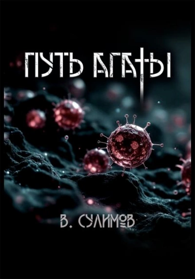 Путь Агаты - Владимир Сулимов Слушать аудио книги онлайн без регистрации полностью бесплатно - knigavkarmane.net
