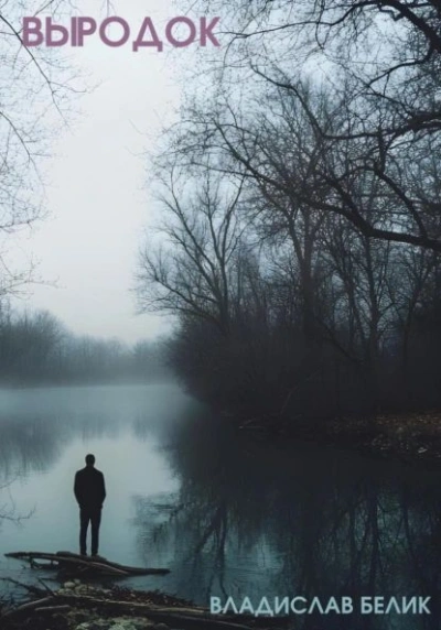 Выродок - Владислав Белик Слушать аудио книги онлайн без регистрации полностью бесплатно - knigavkarmane.net
