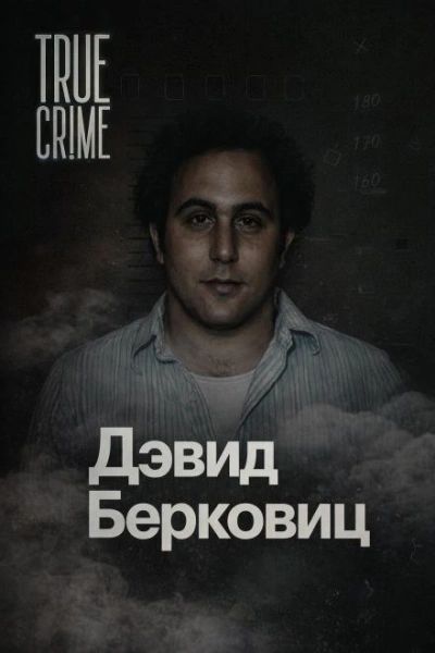 Письма, которые взорвали город Слушать аудио книги онлайн без регистрации полностью бесплатно - knigavkarmane.net